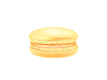 Orange macaroon realistic vector illustration preview picture