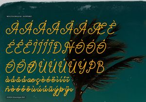 Paradise Gallaiso | Monoline Script Typeface
