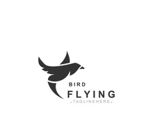 Flying Bird modern logo design isolated white background template