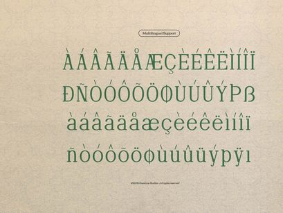 Defilao Vertes | New Vintage Serif