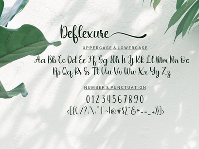 Deflexure - A Luxury Modern Script Font