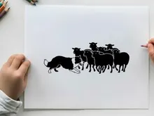 Silhouette of a bull charging at a group of cattle