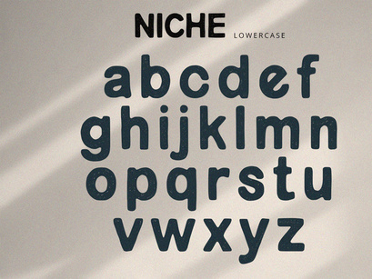 Niche - Rough Display