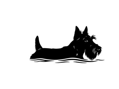 Silhouette of a scottish terrier dog breed portrait