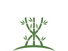 Bamboo Logo Template vector icon
