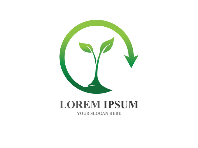 Eco leaf green tree logo template