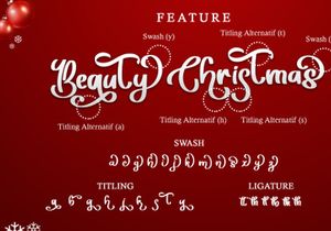 Beauty Christmas