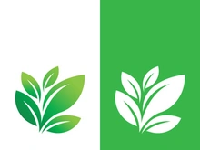 Green tree leaf nature logo images illustration design