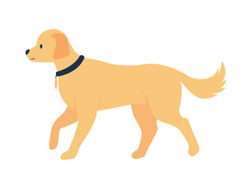 Golden retriever adoption semi flat color vector character preview picture