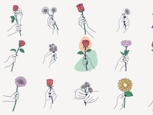 Women Hand Give a Flower, Vector Illustration