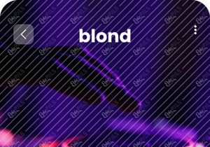 Music Concert App UI