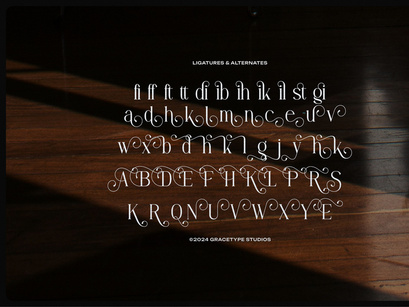 Angdiva | Display Serif Font
