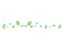 Mint Leaf icon template  illustration
