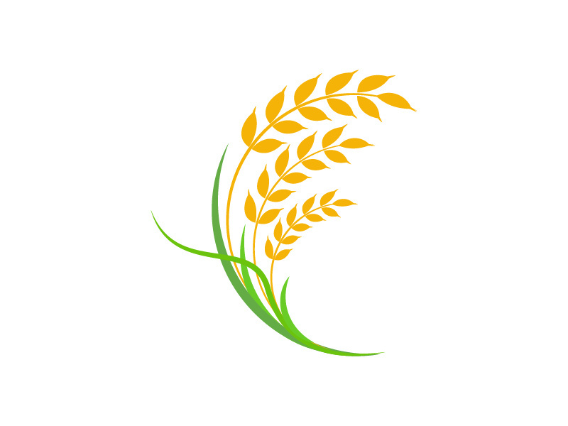 Agriculture wheat rice icon illustration