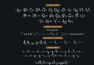 Simfony Sign | Signature font