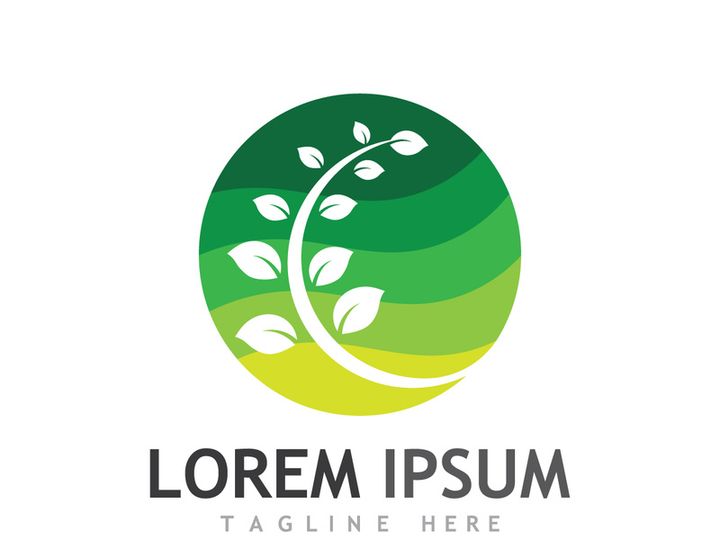 Natural green leaf logo.