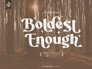 Boldest Enough Display Font preview picture
