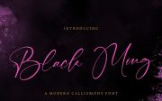 Black Ming - Calligraphy Script Font