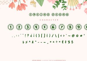 Spring Break - Decorative Display Font
