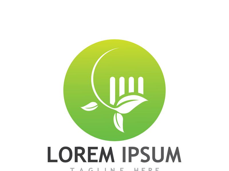 Natural green leaf logo.