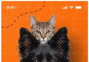Pet Shop & Adoptions Mobile App Project