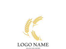 Wheat logo vector icon illustration design