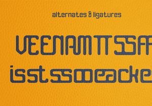 VENIAM - ROUNDED MODERN SANS SERIF