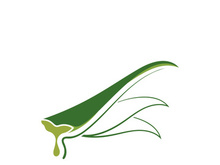Aloe Vera logo icon design symbol beauty skin care