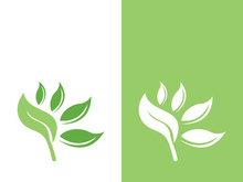 Logos of green tree leaf ecology nature element vector
