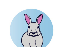 Rabbit logo