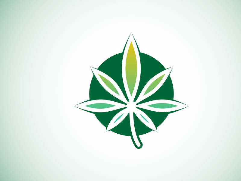 Marijuana leaf. Medical cannabis. Hemp oil. cannabis or marijuana leaf logo