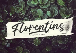 Celline Fram - Textured Brush Font