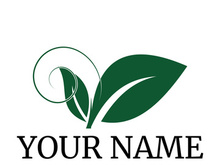 Green leaf logo design vector illustration