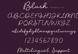 Blush - Script Font