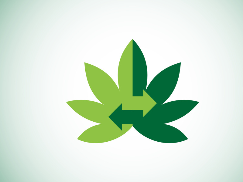 Marijuana leaf. Medical cannabis. Hemp oil. cannabis or marijuana leaf logo