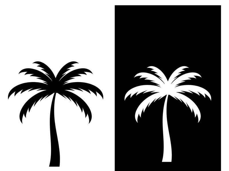 Palm tree summer logo design with creative ideas.