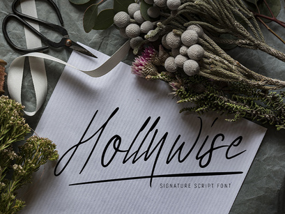 Hollywise - Signature Script Font