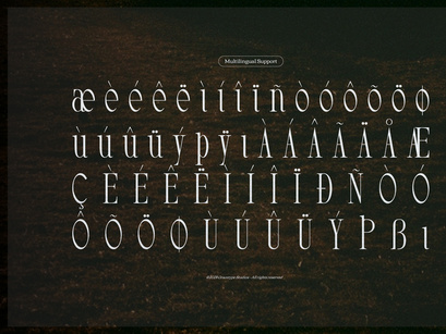 Arkvell | Modern Display Serif