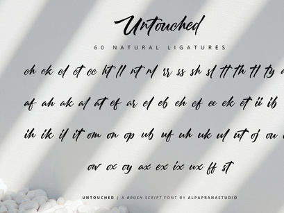 Untouched - Brush Script Font