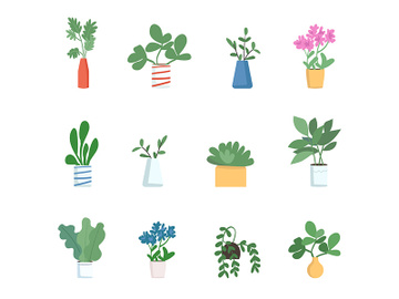 Houseplants flat color vector objects set preview picture