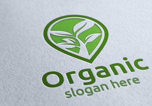 50 Organic Logo Bundle