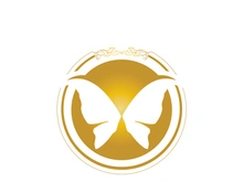 Butterfly logo design
