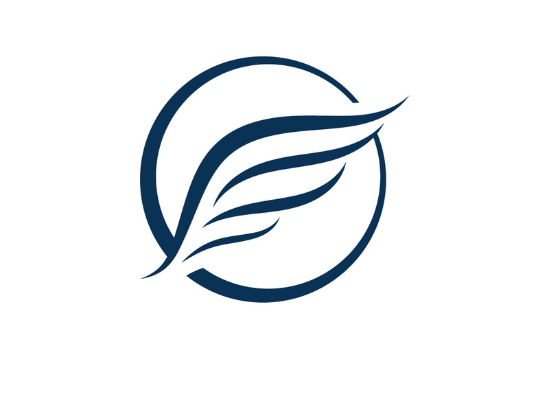 Wing Logo Template vector icon