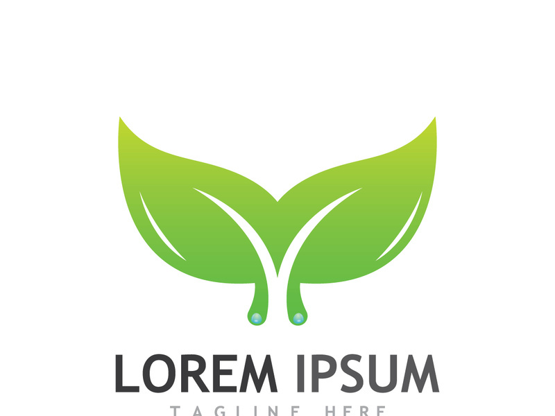 Natural green leaf logo design.