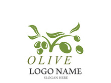 olive icon vector illustration design template