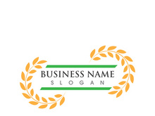 Agriculture wheat logo and symbol vector