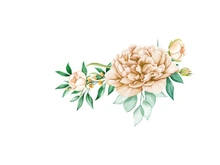 Vector Flower Watercolor Illustration