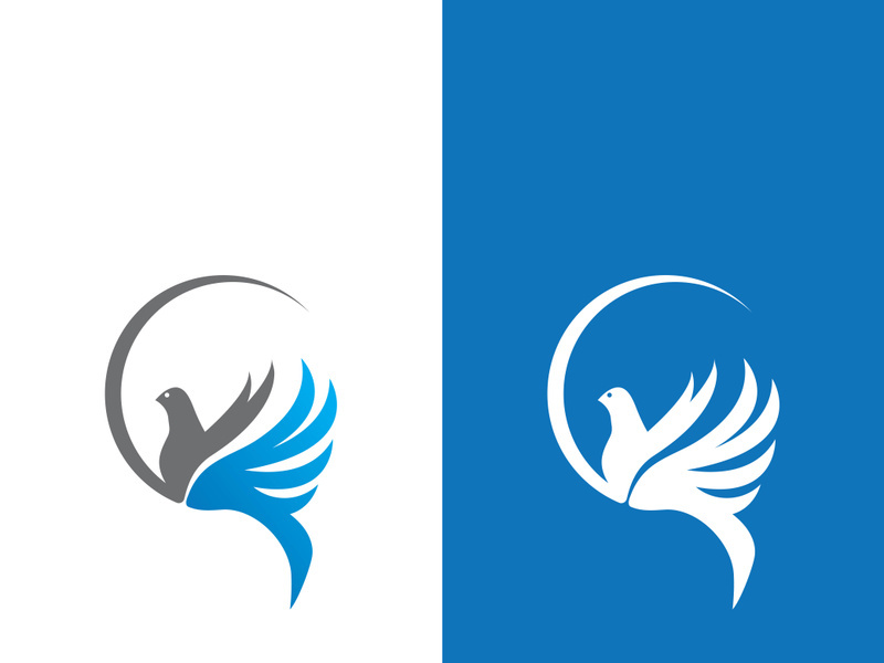 Dove bird logo vector design illustration