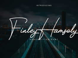 Finley Hamsoly preview picture