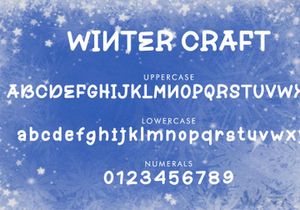 Winter Craft